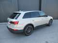 Audi Q7 55 TFSI e quattro 290 kW Braun - thumbnail 7