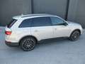 Audi Q7 55 TFSI e quattro 290 kW Braun - thumbnail 9
