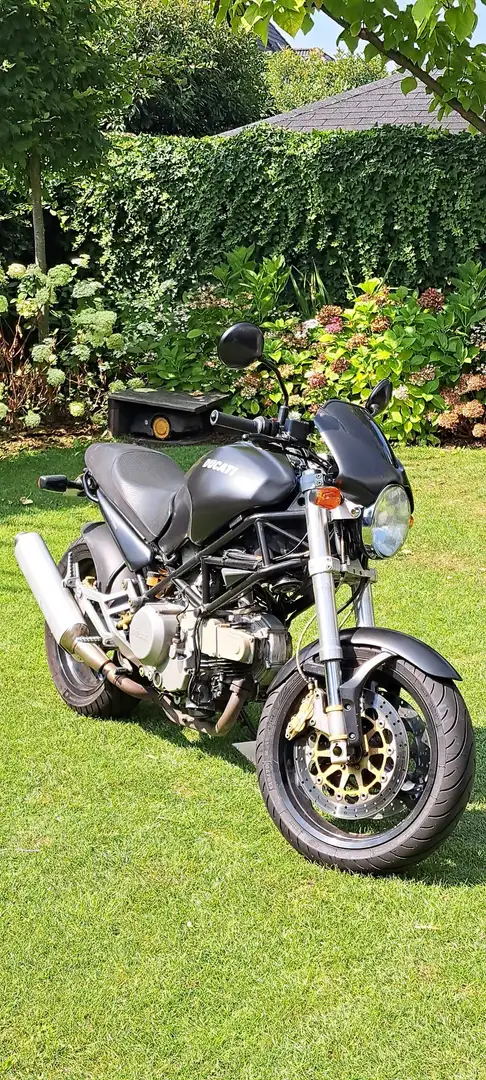 Ducati Monster 600 M600 Monsterdark Zwart - 1