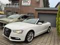 Audi A5 2.0 TFSI Cabrio Weiß - thumbnail 2