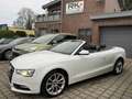 Audi A5 2.0 TFSI Cabrio Weiß - thumbnail 8
