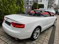 Audi A5 2.0 TFSI Cabrio Weiß - thumbnail 5