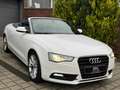 Audi A5 2.0 TFSI Cabrio Weiß - thumbnail 4