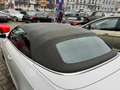 Audi A5 2.0 TFSI Cabrio Weiß - thumbnail 14