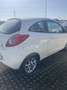 Ford Ka/Ka+ Ka 1.2 + 69cv - thumbnail 10