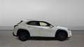Lexus UX 250h 2.0 BUSINESS NAVIGATION AUTO 184 5P Bianco - thumbnail 6