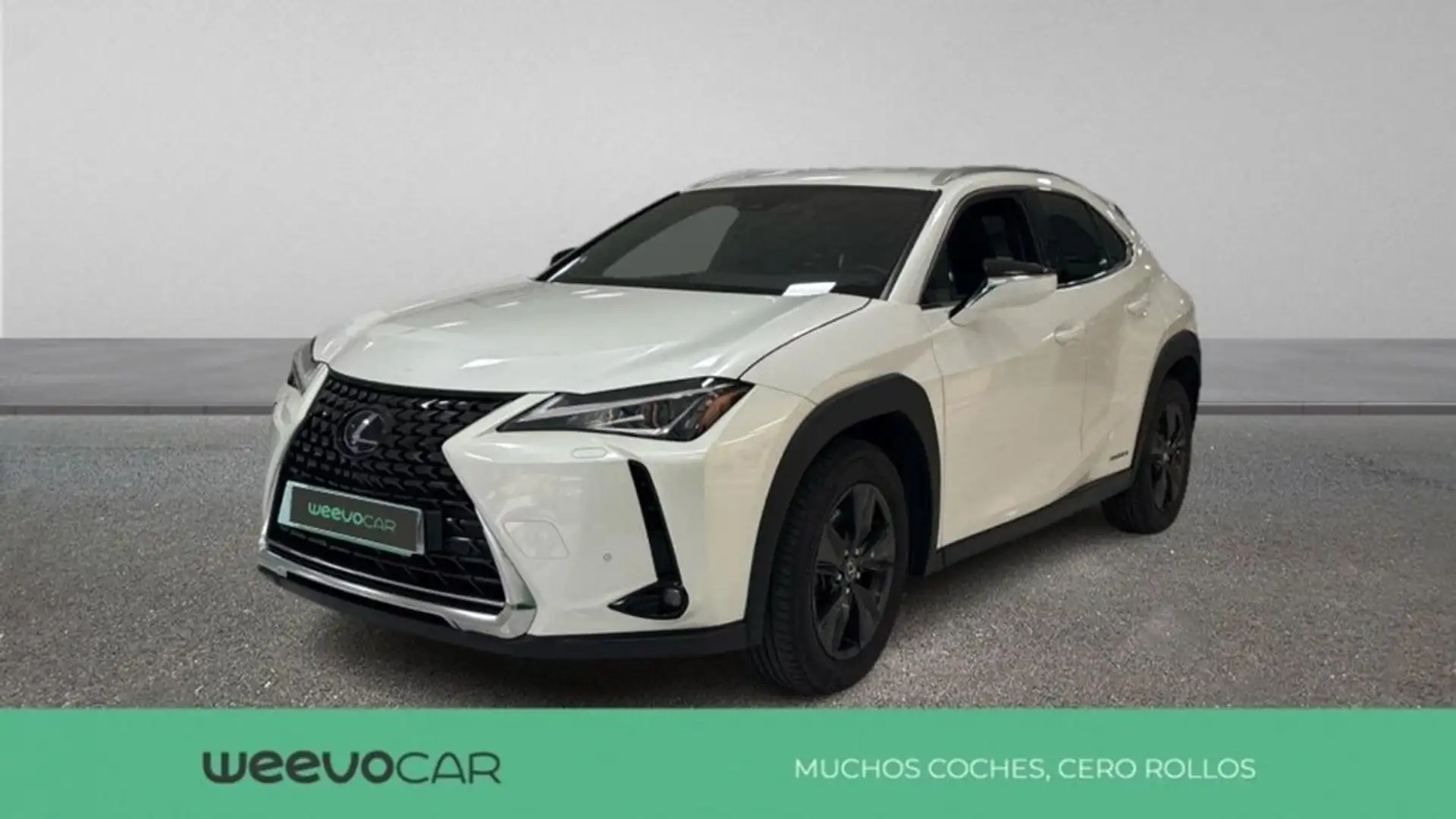 Lexus UX 250h 2.0 BUSINESS NAVIGATION AUTO 184 5P Bianco - 1