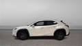 Lexus UX 250h 2.0 BUSINESS NAVIGATION AUTO 184 5P Weiß - thumbnail 7