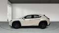 Lexus UX 250h 2.0 BUSINESS NAVIGATION AUTO 184 5P Blanc - thumbnail 7