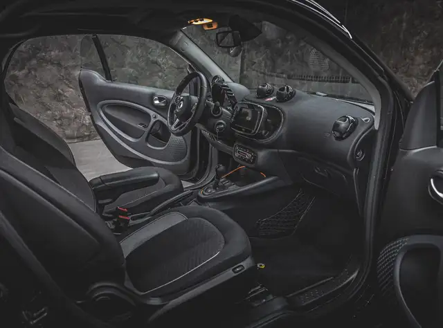 Smart Fortwo view 11
