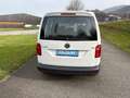 Volkswagen Caddy Caddy Life BlueMotion Weiß - thumbnail 11