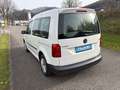 Volkswagen Caddy Caddy Life BlueMotion Weiß - thumbnail 14