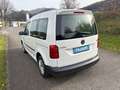 Volkswagen Caddy Caddy Life BlueMotion Weiß - thumbnail 13