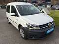 Volkswagen Caddy Caddy Life BlueMotion Weiß - thumbnail 5