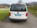 Volkswagen Caddy Caddy Life BlueMotion Weiß - thumbnail 12