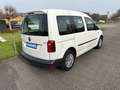 Volkswagen Caddy Caddy Life BlueMotion Weiß - thumbnail 10