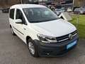 Volkswagen Caddy Caddy Life BlueMotion Weiß - thumbnail 4