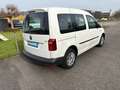 Volkswagen Caddy Caddy Life BlueMotion Weiß - thumbnail 9