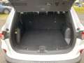 Ford Kuga Titanium 4x4 EcoBlue Blanc - thumbnail 9