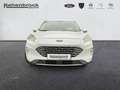 Ford Kuga Titanium 4x4 EcoBlue Blanc - thumbnail 25