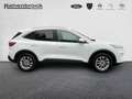 Ford Kuga Titanium 4x4 EcoBlue Blanc - thumbnail 3