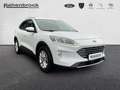 Ford Kuga Titanium 4x4 EcoBlue Blanc - thumbnail 21