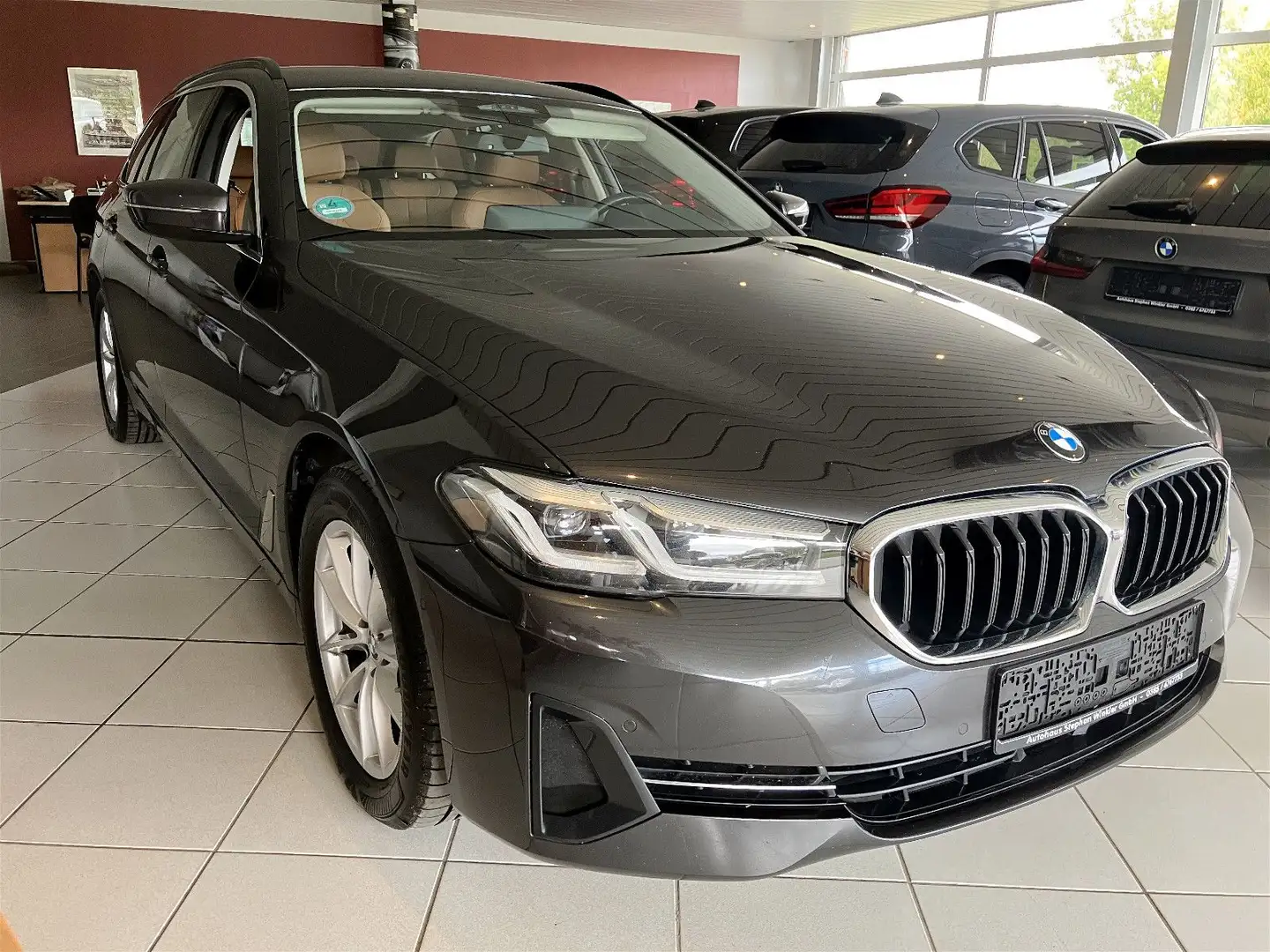 BMW 520 xd BusinessPaket/Parkasst/DrivingPRO/ Gris - 1