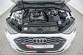 Audi A3 Advanced 30 TFSI 6-G. LED NAVI PANO Bianco - thumbnail 13