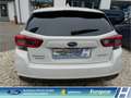 Subaru Impreza Exclusive 1.6i EU6d Allrad Navi CarPlay Sitzhzg. 1 Blanc - thumbnail 5