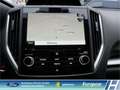 Subaru Impreza Exclusive 1.6i EU6d Allrad Navi CarPlay Sitzhzg. 1 Blanc - thumbnail 17