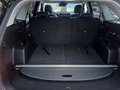 Kia Sorento Sorento IV 2024 2.2 crdi Evolution 4wd dct8 Schwarz - thumbnail 20