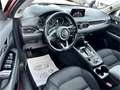 Mazda CX-5 CD175 AWD Revolution Aut. Allrad Automatik mi Rot - thumbnail 7