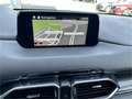 Mazda CX-5 CD175 AWD Revolution Aut. Allrad Automatik mi Rot - thumbnail 14