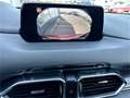 Mazda CX-5 CD175 AWD Revolution Aut. Allrad Automatik mi Rot - thumbnail 13