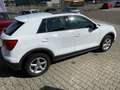 Audi Q2 Wit - thumbnail 16