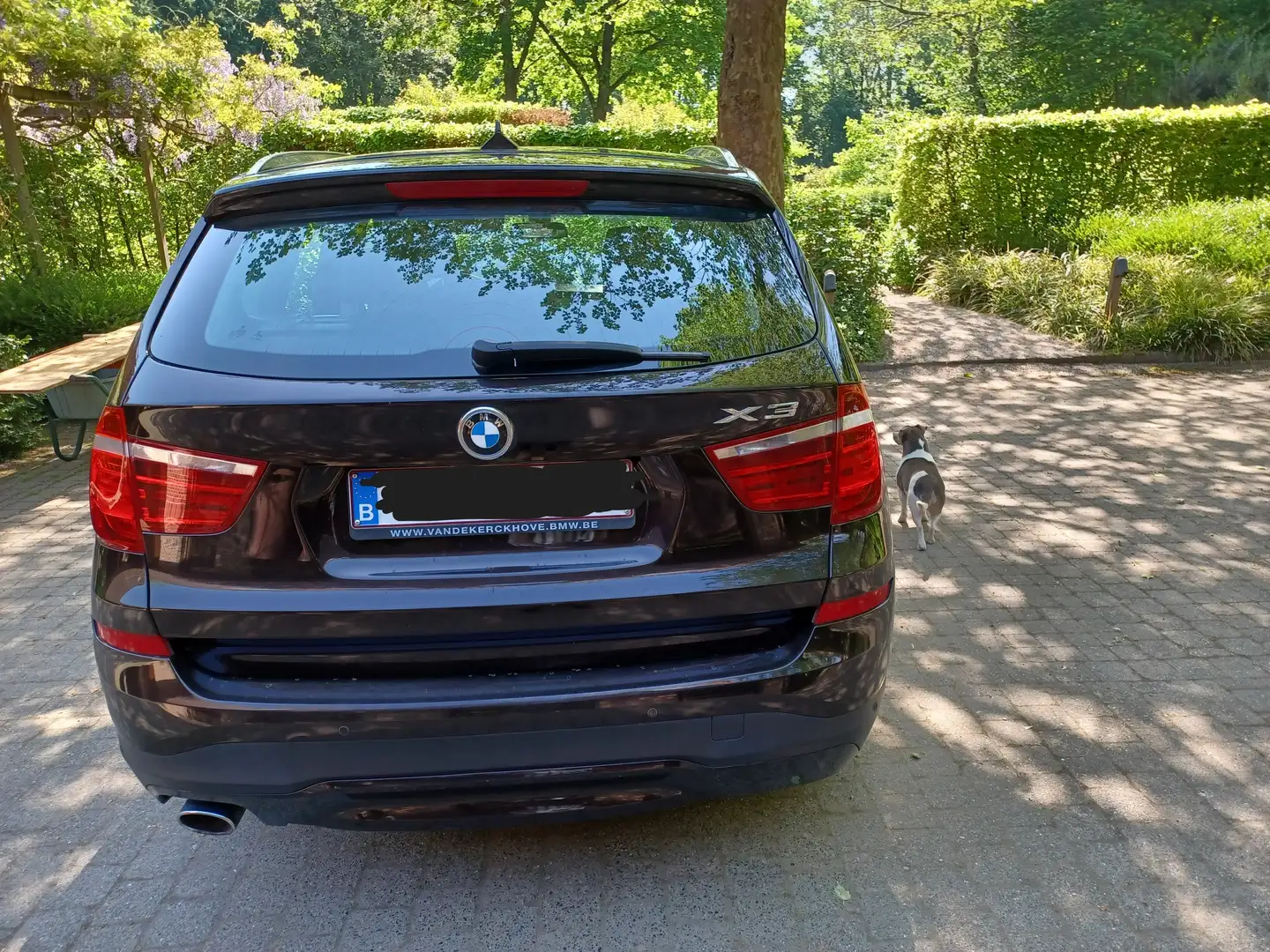 BMW X3 X3 xDrive20d Aut.xLine Bruin - 2
