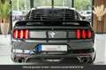 Ford Mustang Pack Shelby Tout compris hors homologation 4500e Noir - thumbnail 7