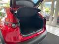 Mazda CX-30 X186 AWD GT+ Aut. Rot - thumbnail 10