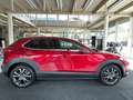 Mazda CX-30 X186 AWD GT+ Aut. Rot - thumbnail 7