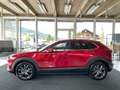 Mazda CX-30 X186 AWD GT+ Aut. Rot - thumbnail 3