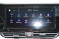 Kia e-Niro Spirit  Navi/Leder/ACC/TWA/Kamera Grigio - thumbnail 14