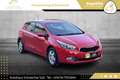 Kia Ceed / cee'd 1,4 MPI CVVT Österreich Edition - thumbnail 4