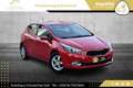 Kia Ceed / cee'd 1,4 MPI CVVT Österreich Edition - thumbnail 7