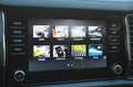 Skoda Kodiaq 2,0 TDI SCR 4x4 DSG+NAVI+LED+SHZ+ Weiß - thumbnail 15