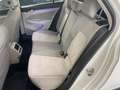 Volkswagen Golf Golf 1.5 tsi evo Style 130cv Blanco - thumbnail 43