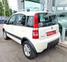 Fiat Panda 1.3 MJT 16V 4x4 Climbing OK NEO PATENTATI Weiß - thumbnail 6