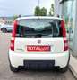 Fiat Panda 1.3 MJT 16V 4x4 Climbing OK NEO PATENTATI Weiß - thumbnail 8
