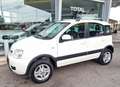 Fiat Panda 1.3 MJT 16V 4x4 Climbing OK NEO PATENTATI Weiß - thumbnail 4