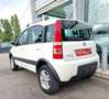 Fiat Panda 1.3 MJT 16V 4x4 Climbing OK NEO PATENTATI Weiß - thumbnail 7
