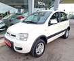 Fiat Panda 1.3 MJT 16V 4x4 Climbing OK NEO PATENTATI Weiß - thumbnail 3